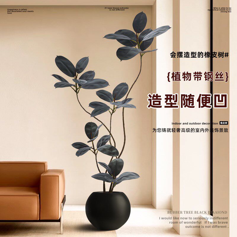 黑金刚橡皮树客厅绿植大盆栽落地大型植物室内办公室旺宅真花禄植