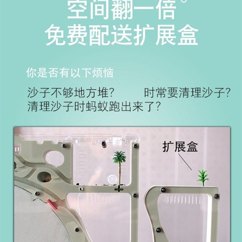 蚁后生态箱蚂蚁城堡地下王国工坊巢穴大型庄园学生饲养殖盒子超大