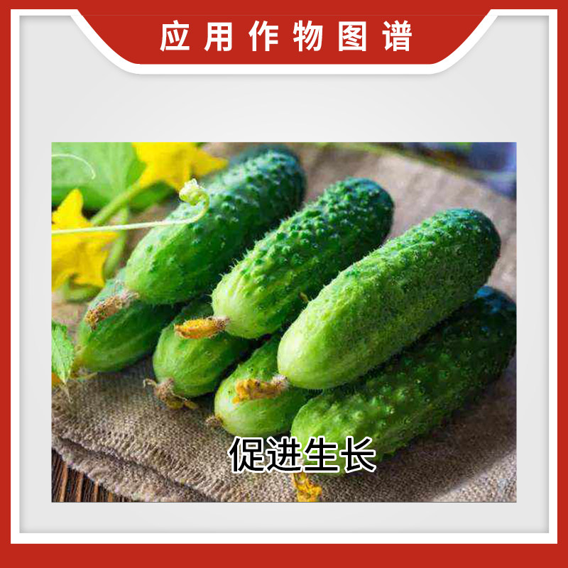 雅苒康晶大量元素水溶肥叶面肥柑橘果树西瓜蔬菜冲施肥25kg