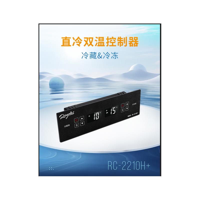 展示柜冒菜串串冷藏保鲜点菜柜商用冷冻立式电子温控RC-2210H