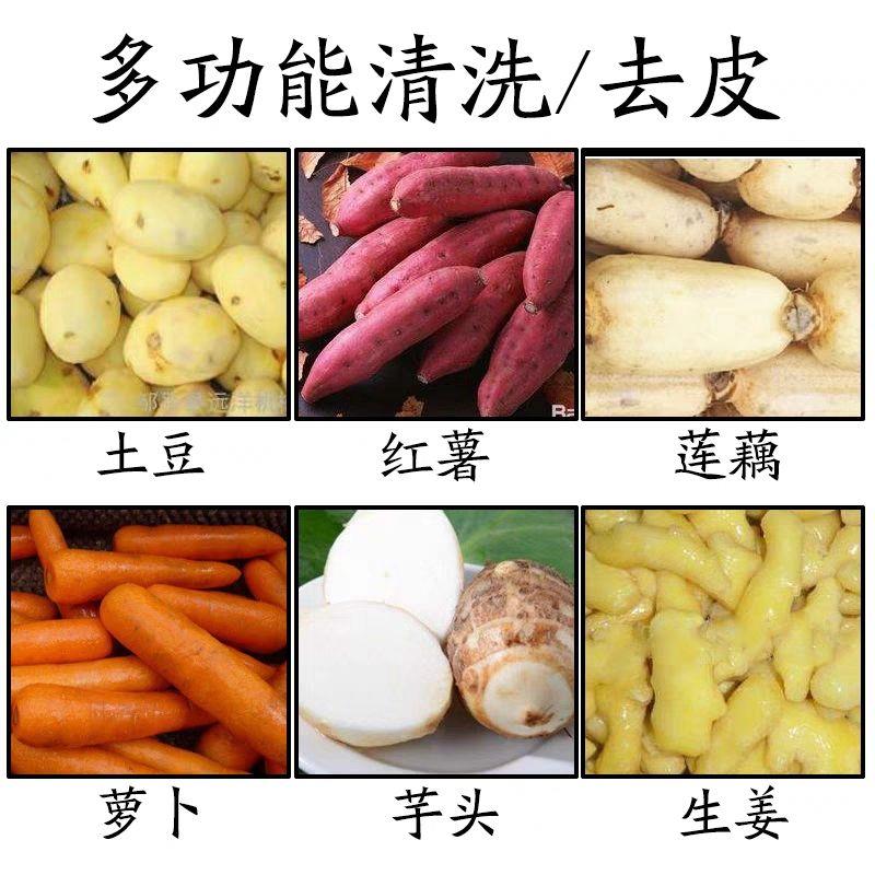新款土豆去皮机全自动毛辊式莲藕生姜芋头红薯脱皮机生蚝清洗机