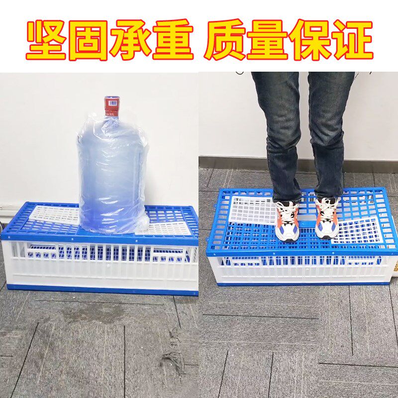 鸽子放飞笼养鸽子运输家用塑料专用用品折叠训鸽笼信鸽赛鸽训放笼