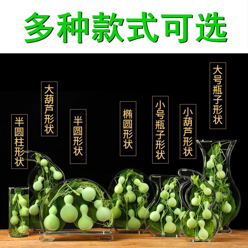 天然绿色小葫芦摆件保鲜水葫芦家居博古架摆件亚力克创意工艺礼品