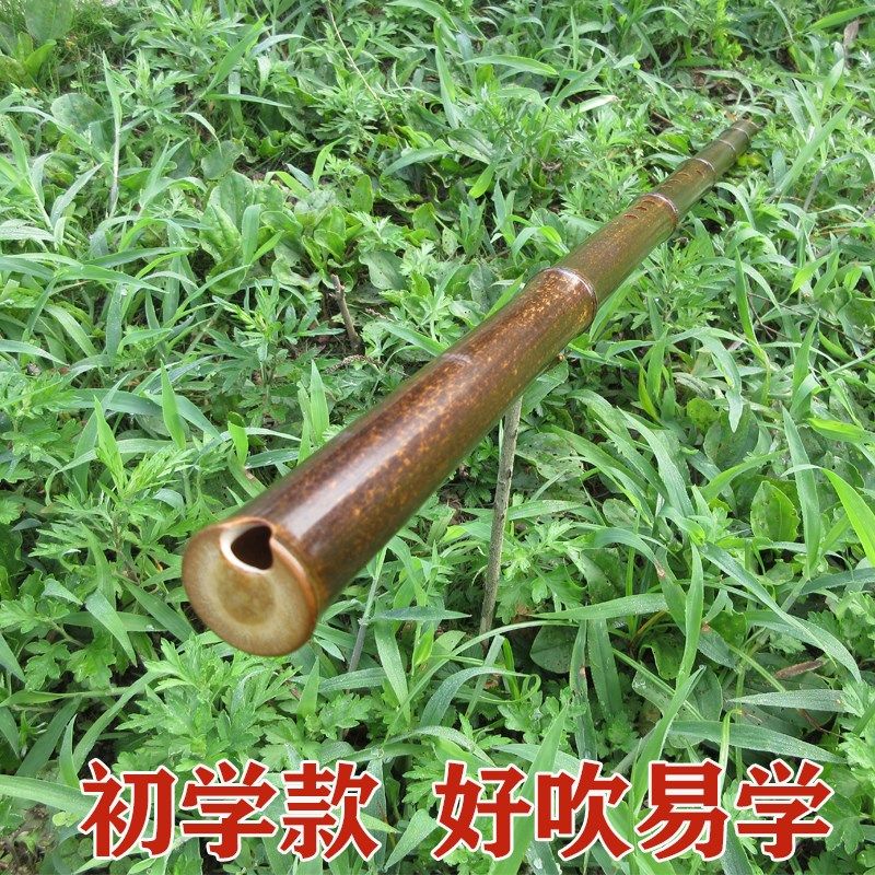 洞箫初学者精品洞箫高级玉萧初学紫竹箫南箫洞箫专业洞箫八孔洞箫