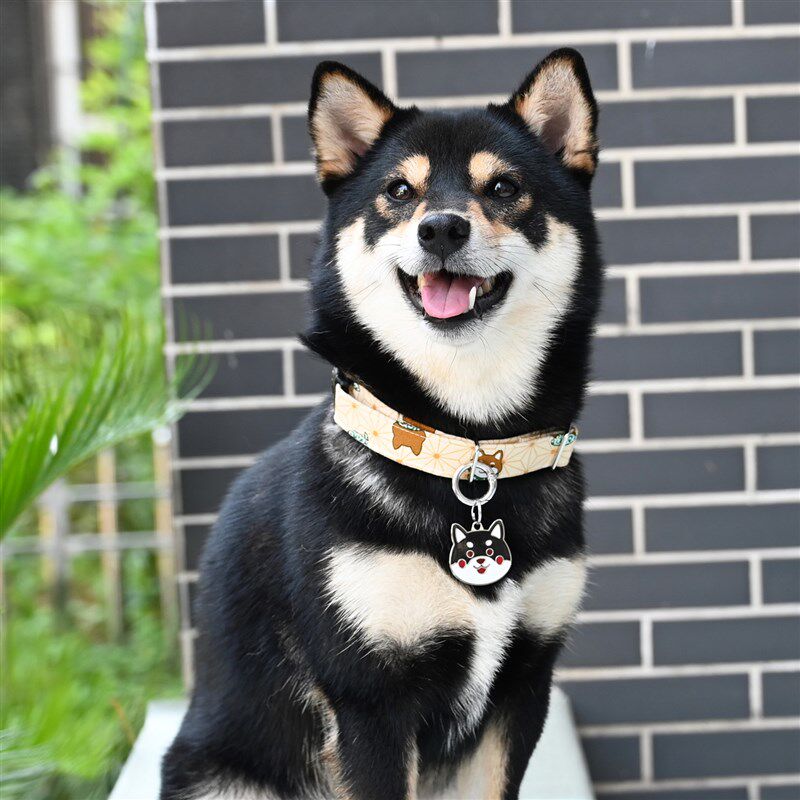 金属狗牌柴犬柯基铭牌身份牌防走失激光刻字合金名牌定做订制包邮