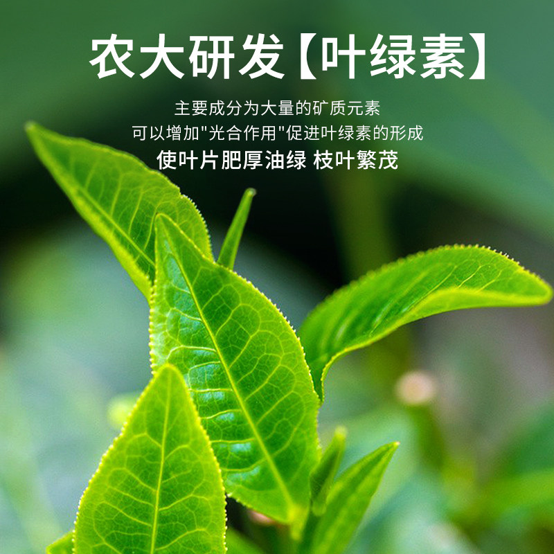 50L大包营养土养花专用通用型花土泥炭土种菜土壤家用有机土花泥
