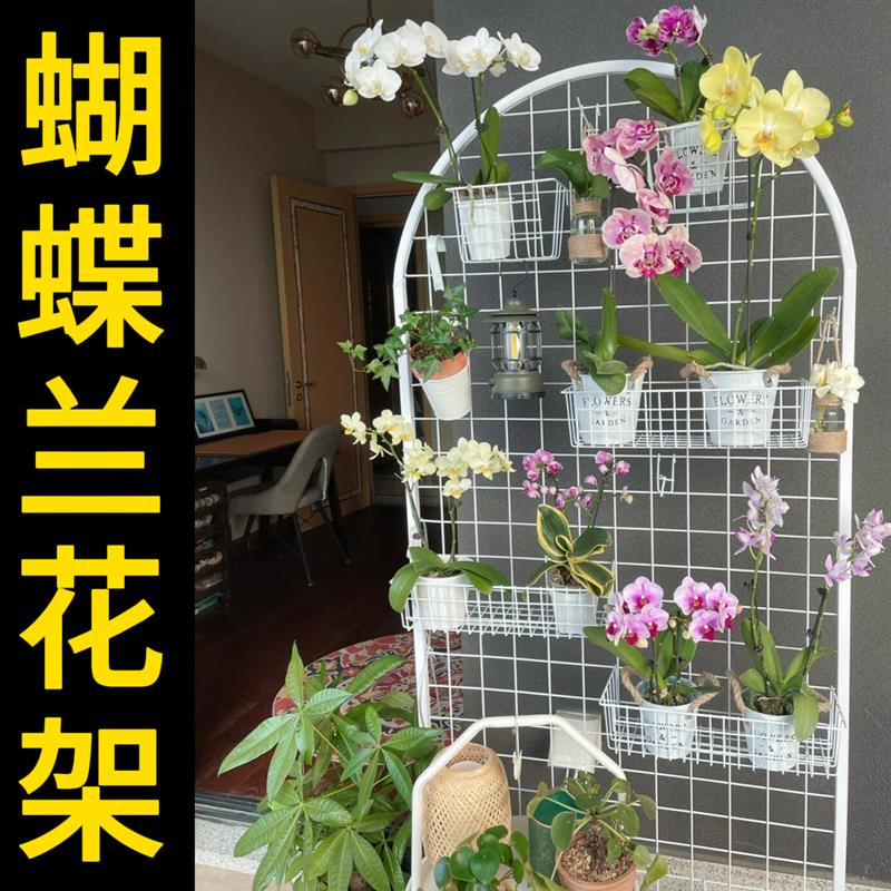 阳台花架2026新款蝴蝶兰花架适合客厅阳台可移动悬挂花盆展示架图片