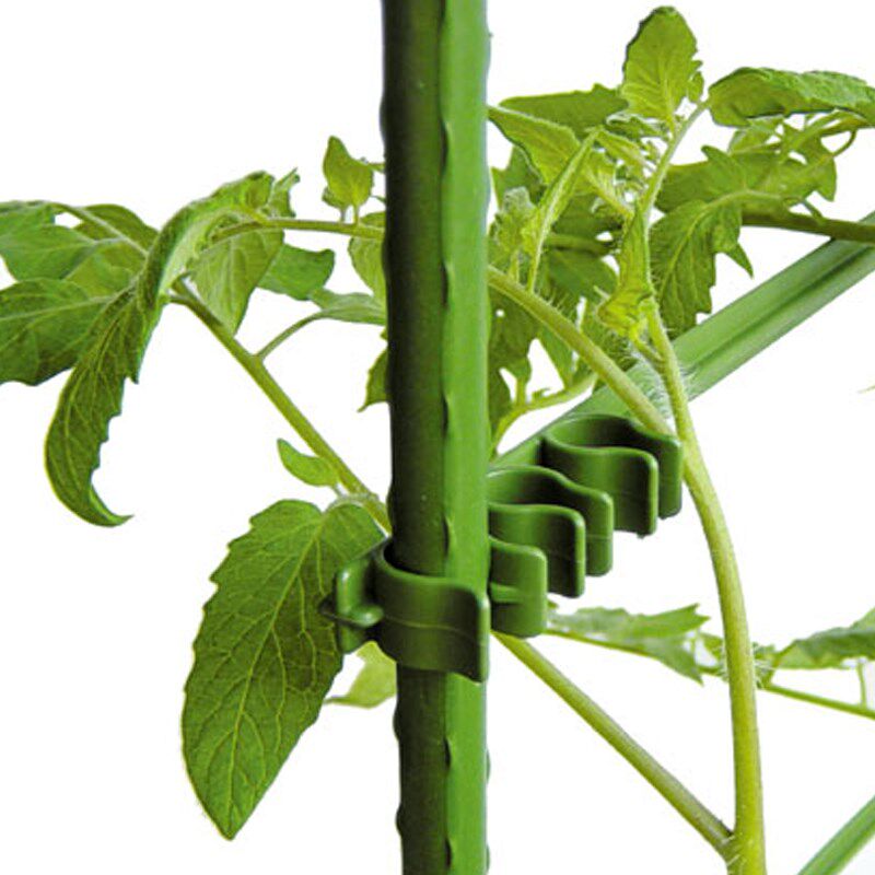 塔莎的花园 支撑架种菜搭架包塑管支架菜园种植园艺爬藤蔬菜架杆