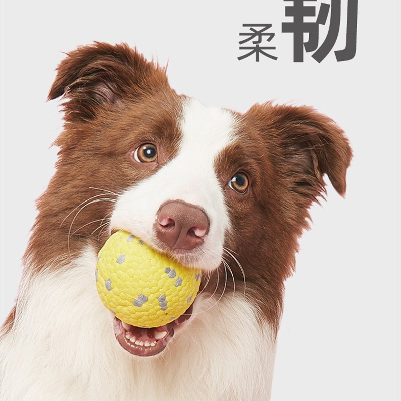 FOFOS两只福狸 狗狗玩具球人宠互动耐咬磨牙边牧金毛泰迪狗狗玩具