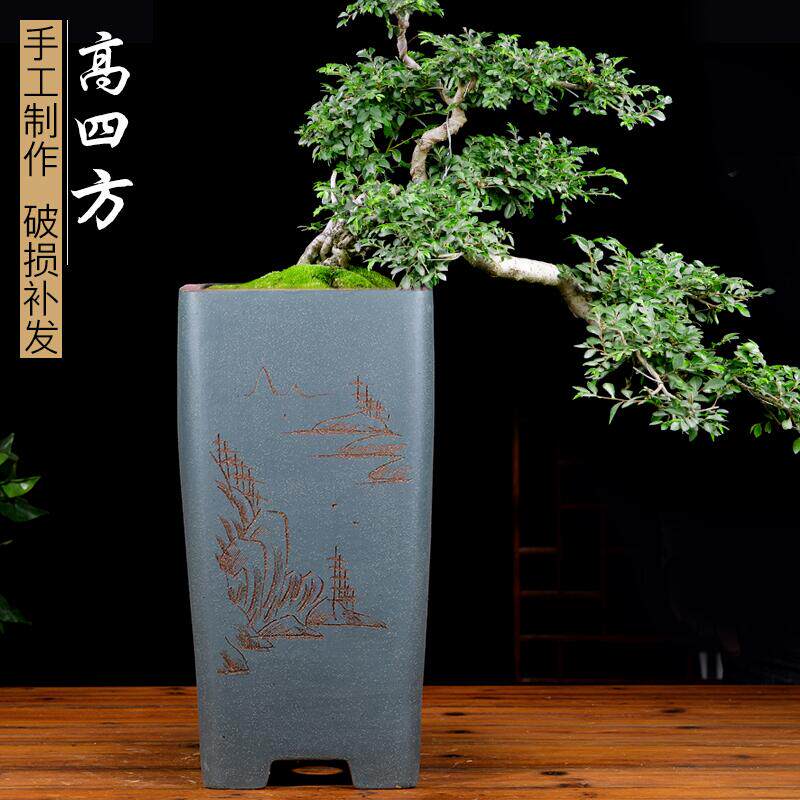 紫砂花盆特大四方造型花盆树桩绿植花卉君子兰花盆特价清仓免邮