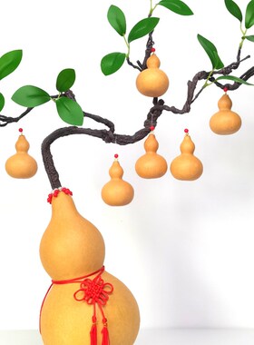 采购产品天然的葫芦幸运树,一个藤七葫芦娃娃,乔迁家庭配件,镇屋