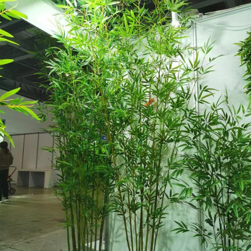 室内装饰彷竹隔断屏风彷竹墙景观室外真竹盆栽加密绿色植物