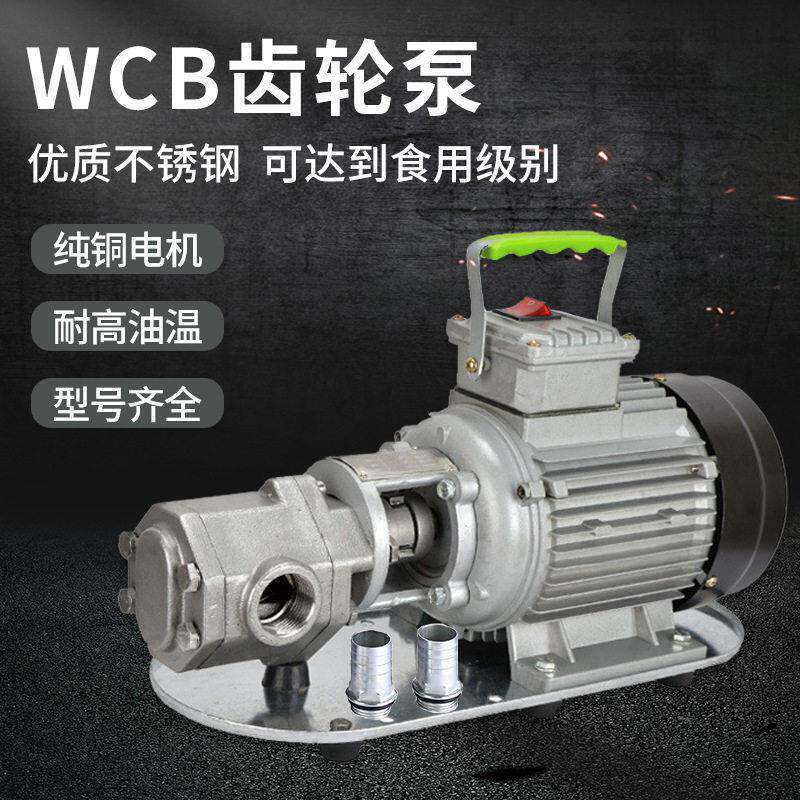 WCB齿轮泵电动不锈钢自吸粘度手提220V柴油机油食用油抽油泵