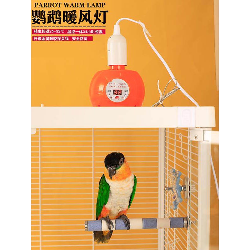 温控鹦鹉用保温灯宠物取暖器智能恒温加热暖风机取暖灯保温箱配件