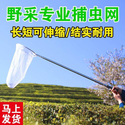 户外伸缩昆虫学者专业捕虫网野采工具神器捕蜻蜓捕蝴蝶网兜加长