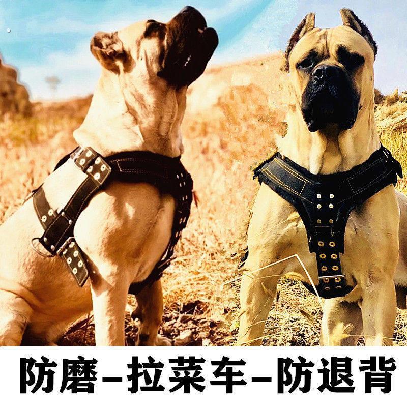 狗狗胸背带伸缩调节狗拉车托铁链雪橇轮胎防挣脱中大型犬卡斯罗