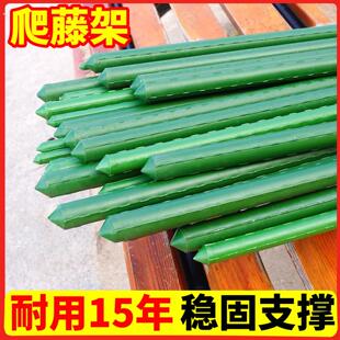 爬藤架葡萄架四季豆架杆庭院户外搭棚子楼顶种菜黄瓜豆角支撑杆子