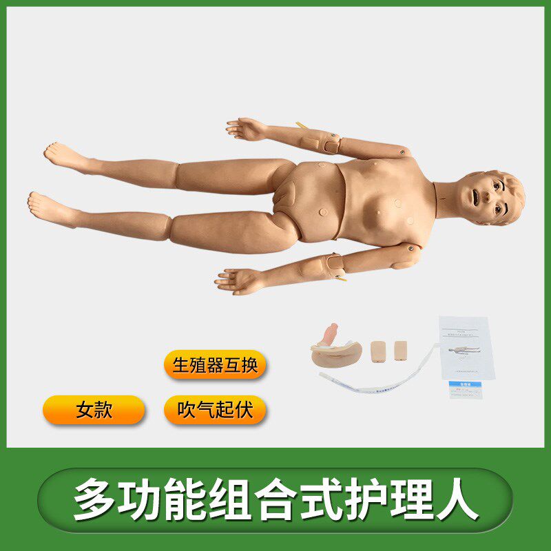 CPR690心肺复苏模拟人医学多功能急救护理教学训练假人体模型导尿