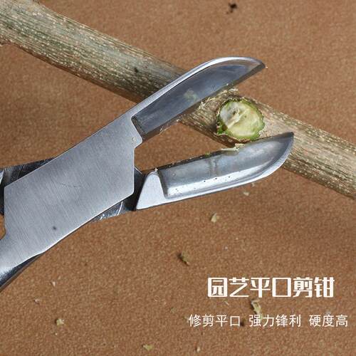 修枝剪球节剪盆景工具平口剪叶芽剪树瘤树节球形钳盆景造型工具剪