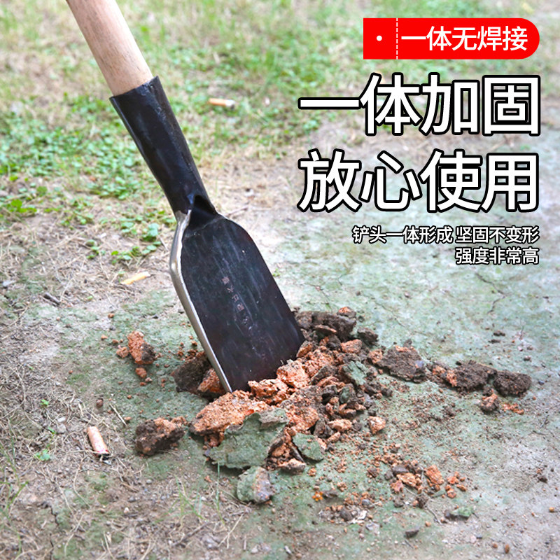 锻打锰钢洞铲加厚挖树铲子清洁铲移苗挖锄多用洛阳铲挖树铲铁锹