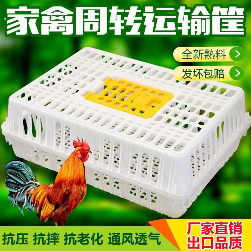 鸡笼子家用加厚家禽周转箱筐大号塑料鸭笼鹅笼鸡笼子加粗兔笼运输