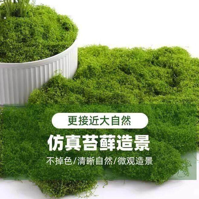 仿真苔藓青苔造景仿生假青苔微观景布置摆件草坪盆栽盆景铺面装饰