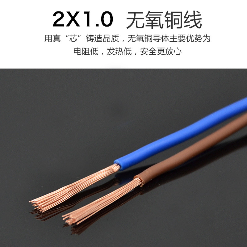 AC电源插头2孔母头带线监控防水盒两脚公母插头线220v二孔50cm长