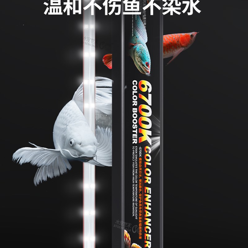 鱼缸灯雷龙鱼专用灯吉罗灯日光发色灯LED鱼缸灯金鱼自然增艳增色