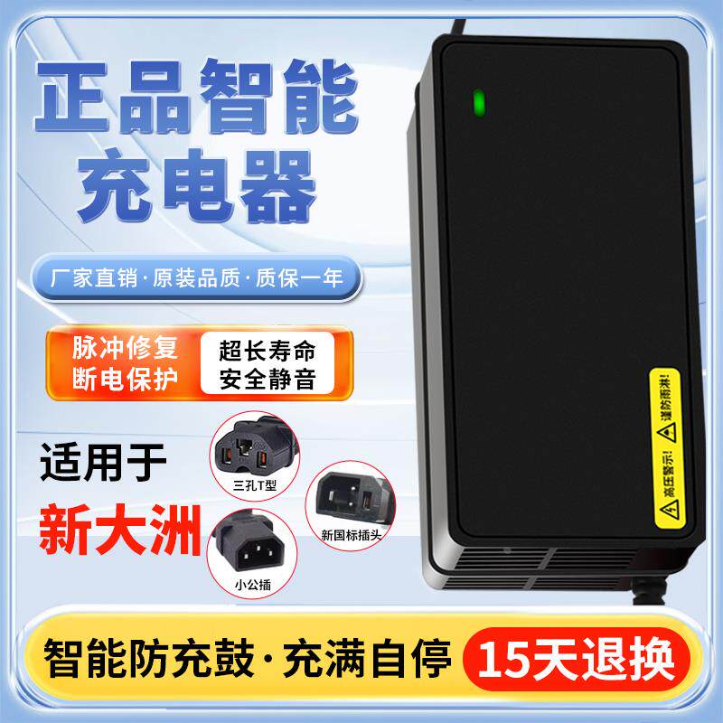 适用新大洲电动车电瓶充电器48V12AH60V20AH72V32A新国标