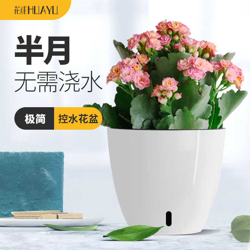 绿萝盆器绿箩盆花盆自动吸水塑料器2021水培器皿懒人专用盆栽