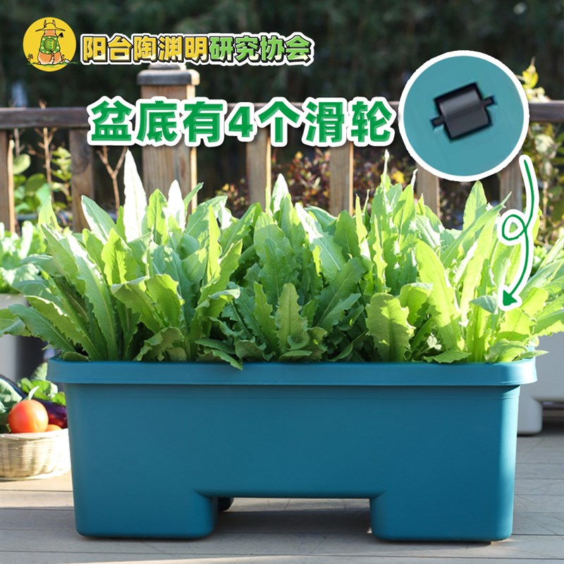 种番茄花盆种西瓜南瓜种菜盆露台阳台别墅种植盆种蓝莓学校蔬菜
