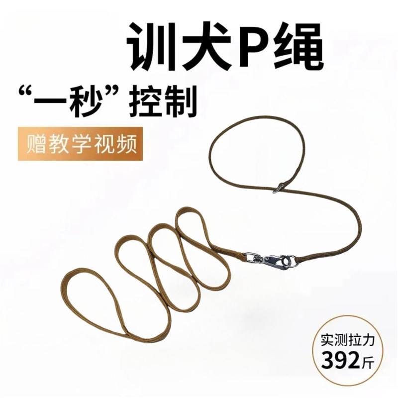 比赛P绳宠物牵引绳狗绳子P链训犬狗链金毛萨摩边牧大中型小犬项圈