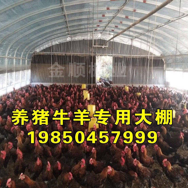 养殖大棚骨架钢管牛棚羊圈猪舍鹅兔养鸡场椭圆管温室蔬菜大棚全套
