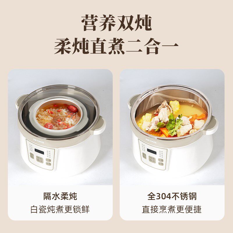 天际电炖炖锅隔水炖盅陶瓷煲汤锅电用家用燕窝全自动超大容量4.2L