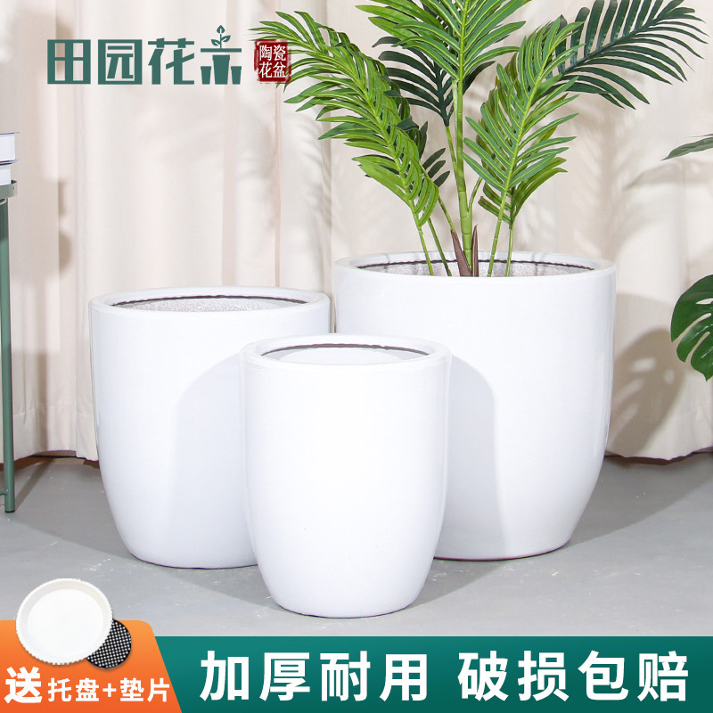 陶瓷花盆家用客厅特大号纯白色大口径发财树金钱树绿植专用大花瓶