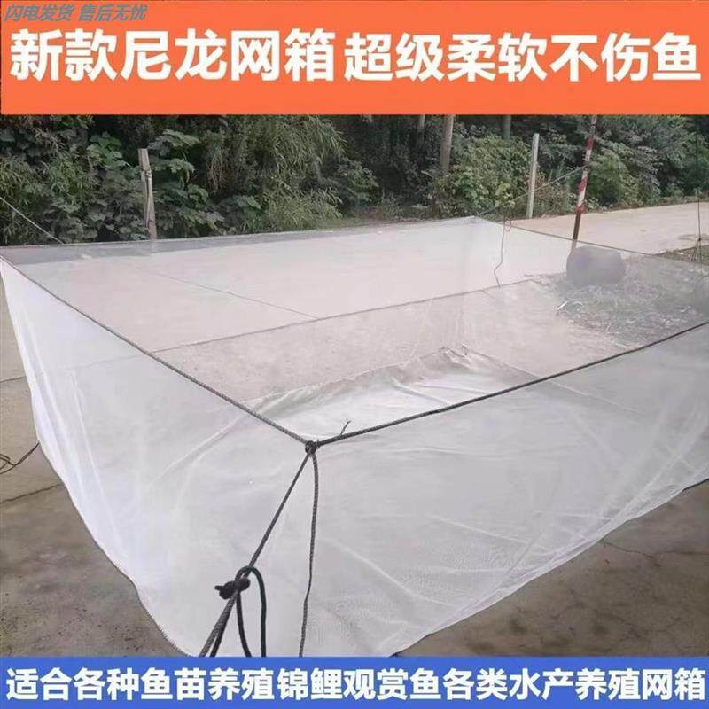 定做尼龙六角网孔鱼苗网箱无结育苗网箱水产养殖网箱存鱼不伤鱼