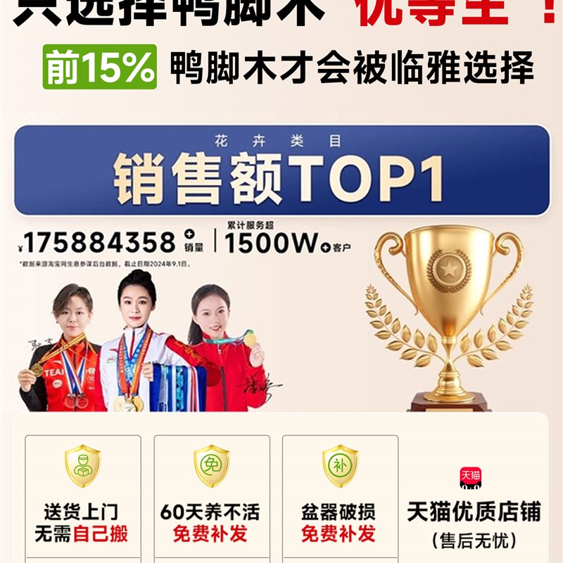 鸭脚木八方来财树植物大盆栽客厅发财树绿植大型室内花卉四季好养