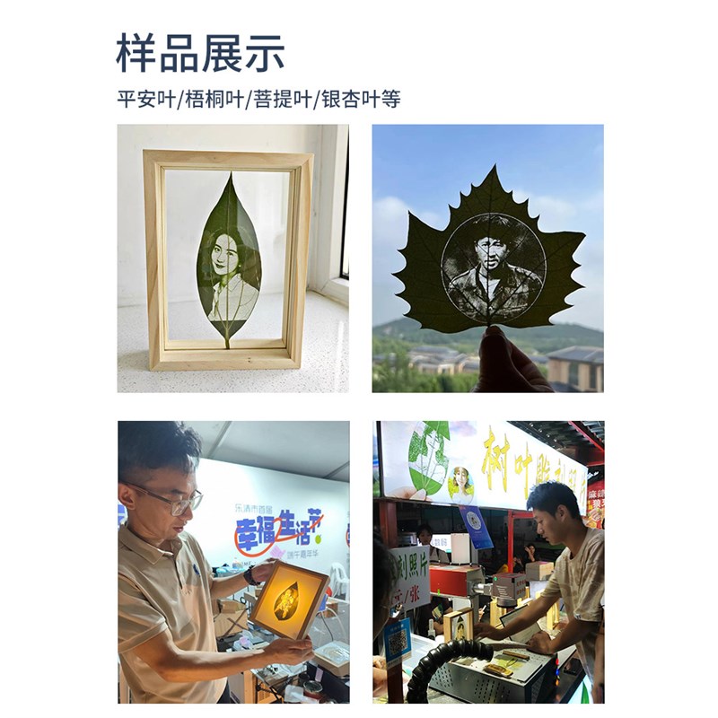 汉工激光锤子画激光雕刻机玻璃画定制机器叶雕机树叶激光雕刻机