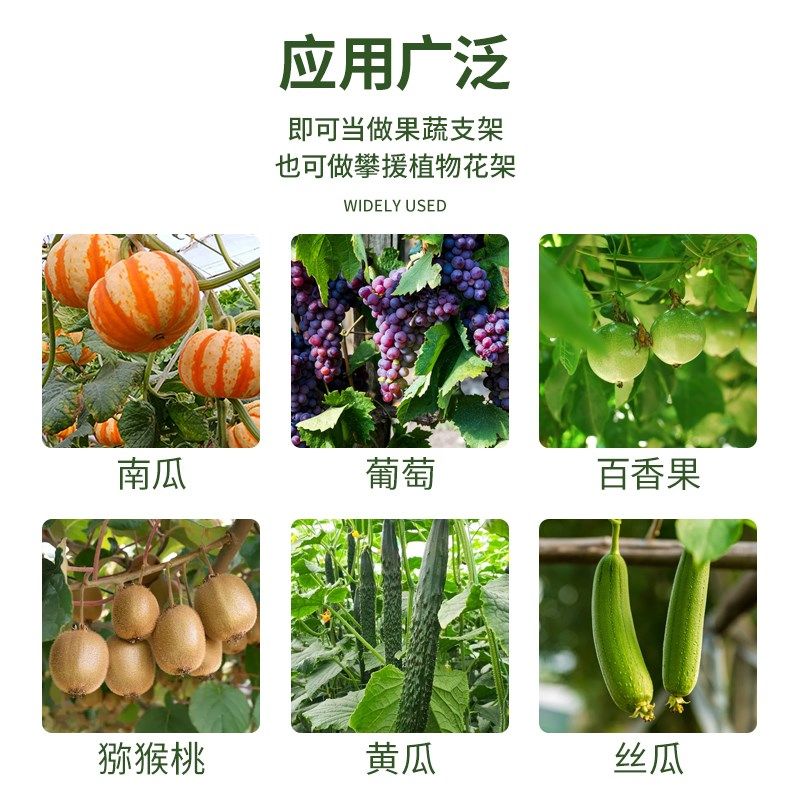 果物棚葡萄架爬藤架隔热爬黄瓜猕猴桃葫芦别墅果树庭院支架藤架