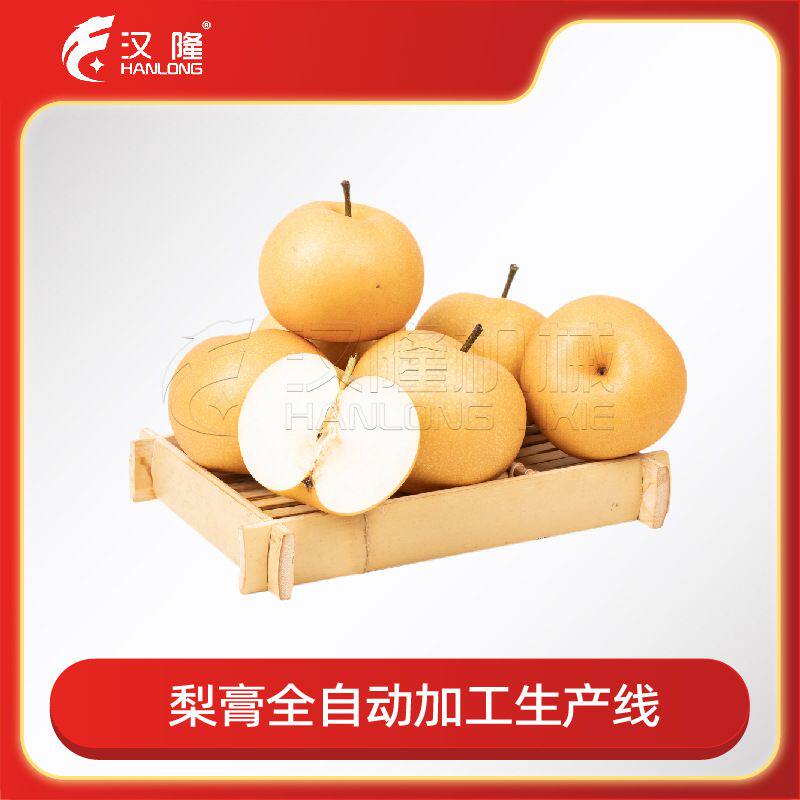 厂家直销大型工业梨膏加工整套生产线梨子汁全自动生产线配套设备