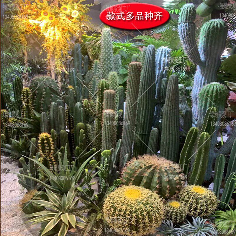 仿真仙人掌仙人柱仙人球龙神柱热带仿真植物北欧景观
