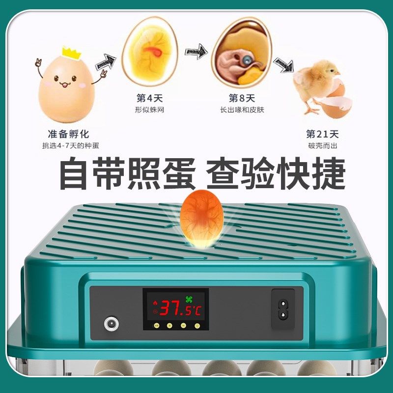 孵化器小型家用孵化机全自动智能孵化箱小鸡鸭鸽鹦鹉种蛋孵蛋器