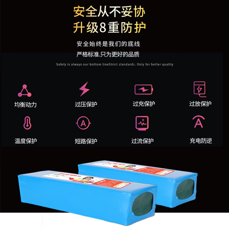 阿尔郎电动平衡车电池36v通用儿童双轮长款54v锂电瓶领奥左拉42v