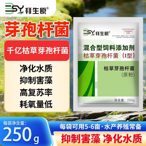 拜生原芽孢杆菌水净爽分解有机质