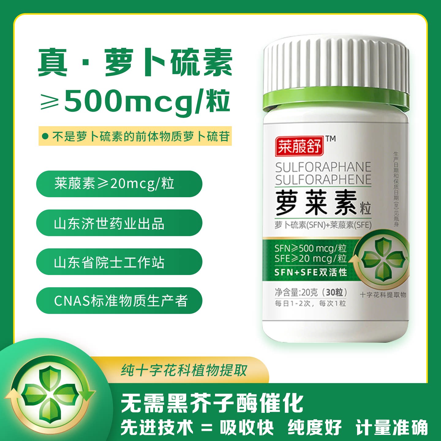 莱菔舒萝卜硫素十字花科提取物