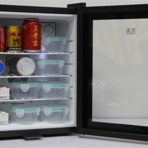 优聪40升双系统食品留样柜幼儿园学校饭堂餐厅酒店单锁双锁冰箱
