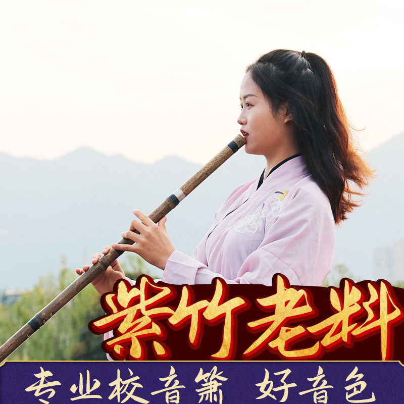 洞箫专业演奏乐器入门初学专业高档三节萧古风八孔G调F调长箫