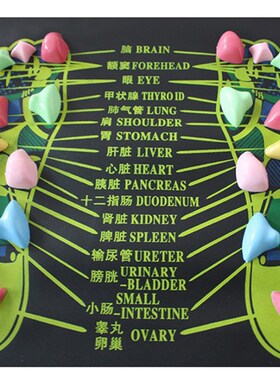 敬老院礼品 健康之路脚底按摩垫足底按摩器按摩石子路走毯 养生