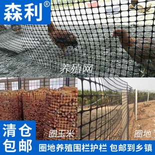 万能网塑料网格网拦鸡养鸡围栏鸡圈养殖隔离网篱笆防护网护栏栅栏