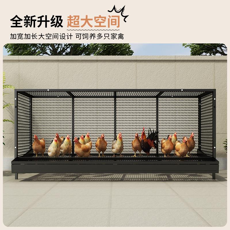 蛋鸡养殖笼自动出蛋防啄蛋室内外特大号家用养鸡笼加宽加高加密